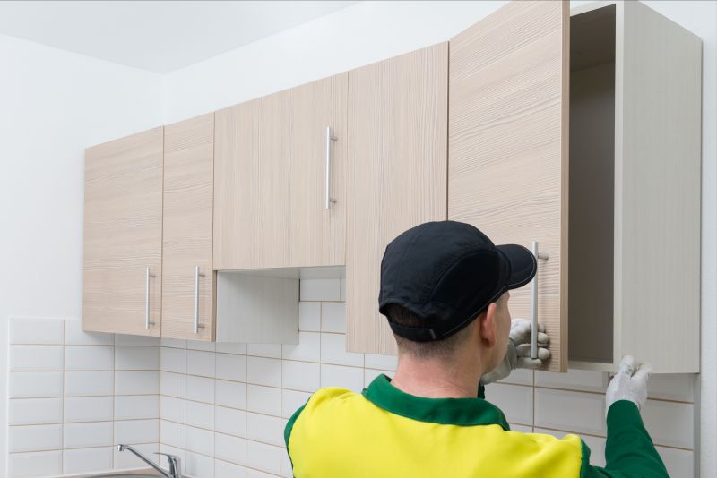 Cabinet Installers